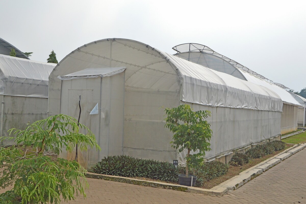 BANGUN GREEN HOUSE DENGAN NET AGROPRO SOLUSI BERTANAM MASA KINI