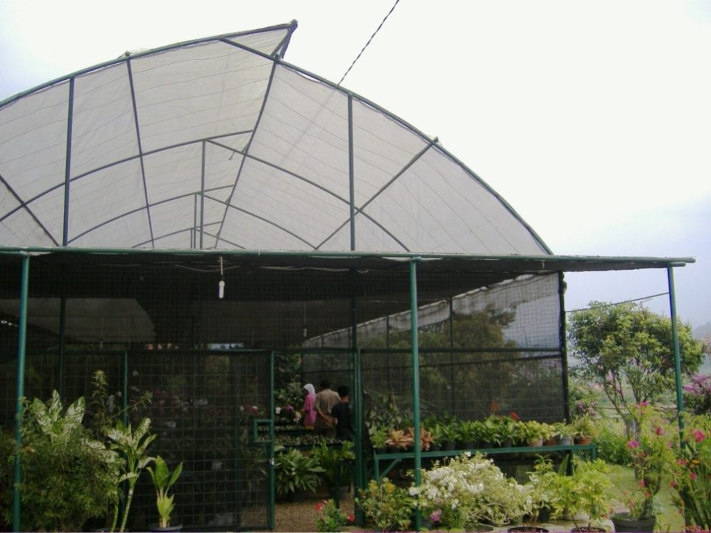 SHADING NET AGROPRO HASILKAN BIBIT SAWIT BERKUALITAS — AgroPro by PT Gani Arta Dwitunggal