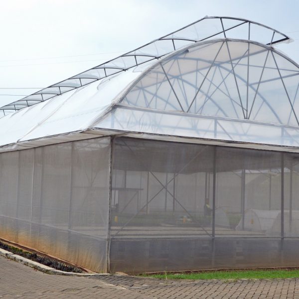 Greenhouse Plastik Model Pelana